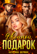 Обложка книги "Двойной подарок"