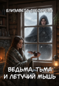 Обложка книги "Ведьма, тьма и летучий мышь"