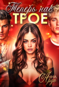 Обложка книги "Теперь нас трое"