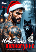 Обложка книги "Новогоднее полнолуние"