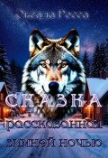 Обложка книги "Сказка, рассказанная зимней ночью"