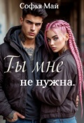 Обложка книги "Ты мне не нужна"