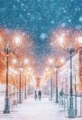 Обложка книги "Зима Пришла"