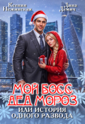 Обложка книги "Мой Босс - дед Мороз, или история одного развода"