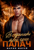 Обложка книги "Палач. Вспомнить твой грех"
