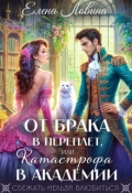 Обложка книги "От брака в переплет, или Катастрофа в академии"