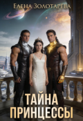 Обложка книги "Тайна принцессы"