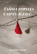 Обложка книги "Тайна города Санта-Клаус"