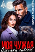 Обложка книги "Моя Чужая. Осколки чувств"