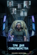 Обложка книги "Три дня совершенства"