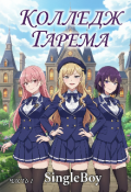 Обложка книги "Колледж гарема ( Повелитель Варн )"