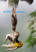 Обложка книги "Свободное парение."