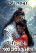 Обложка книги "Любовь небесного. Дэшэн и Юймин."