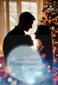 Обложка книги "Новогоднее чудо"