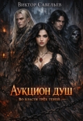 Обложка книги "Аукцион душ. Во власти трех теней"