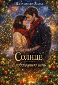 Обложка книги "Солнце под новогоднюю ночь."