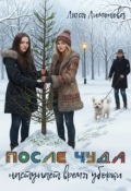 Обложка книги "После чуда наступает время уборки"