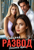 Обложка книги "Развод. Собирая осколки души"
