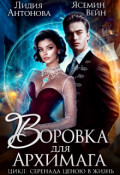 Обложка книги "Воровка для архимага "