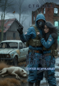 Обложка книги "Письмо наёмника"