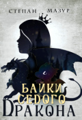 Обложка книги "Байки седого дракона"