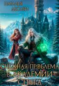 Обложка книги "Снежная проблема в Академии Севера"