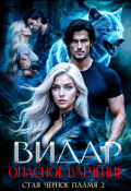 Обложка книги " Видар. Опасное влечение"