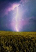 Обложка книги "Перипетии жизни"