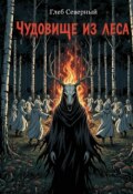 Обложка книги "Чудовище из леса "