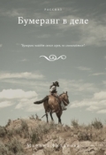 Обложка книги "Бумеранг в деле"