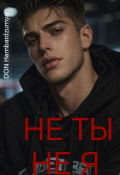 Обложка книги "Не Ты,  Не Я"