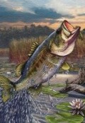 Обложка книги "Байки Волшебной Щуки (рождественская сказка)"