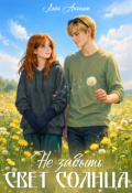 Обложка книги "Не забыть свет солнца"