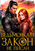 Обложка книги "✧ Ведьмочкам закон не писан ✧"