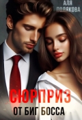 Обложка книги "Сюрприз от Биг Босса"
