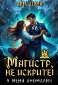 Обложка книги "Магистр, не искрите! У меня аномалия"
