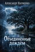 Обложка книги "Объединённные дождём"