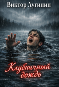 Обложка книги "Клубничный дождь"
