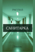 Обложка книги "Санитарка"