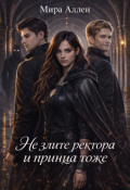 Обложка книги "Не злите ректора и принца тоже"