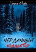 Обложка книги "Чердачный коллектор"