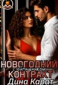 Обложка книги "Новогодний контракт с айтишником"