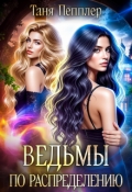 Обложка книги "Ведьмы по распределению"