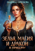 Обложка книги "Зелья, магия и дракон в придачу"