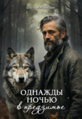 Обложка книги "Однажды ночью в предзимье"