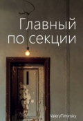 Обложка книги "Главный по секции "