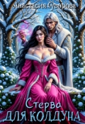 Обложка книги "Стерва для колдуна"