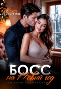Обложка книги "Босс на Новый год"