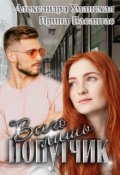 Обложка книги "Всего лишь попутчик"