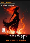 Обложка книги "В вихре пламени. Шаг на костер, или Смерть ведьмы"